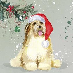 Dog In Christmas Hat | Obraz na stenu