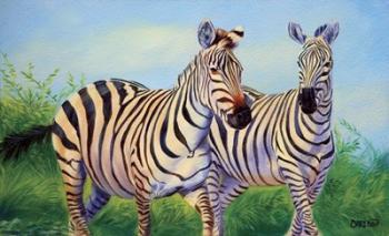 Zebras | Obraz na stenu