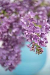 Lilacs in Blue Vase II | Obraz na stenu