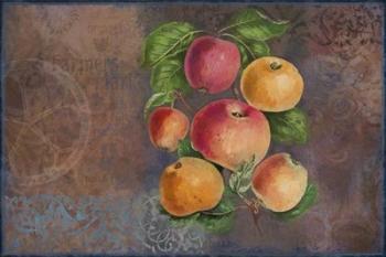 Apples - Fruit Series | Obraz na stenu
