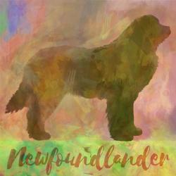 Newfoundlander Dog | Obraz na stenu