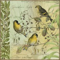Tree Birds I Siskins | Obraz na stenu