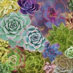 Little Succulent Garden | Obraz na stenu