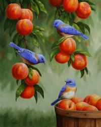 Bluebirds and Peaches | Obraz na stenu