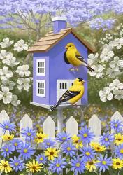Goldfinch Garden Home | Obraz na stenu