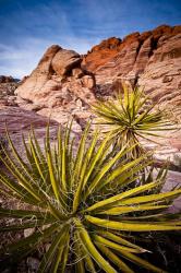 Red Rocks | Obraz na stenu