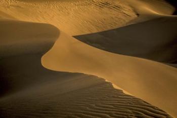 Sand Dunes | Obraz na stenu