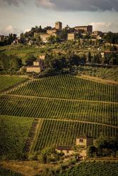 Tuscany Vineyard 02 | Obraz na stenu