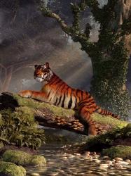 Tiger On A Log | Obraz na stenu
