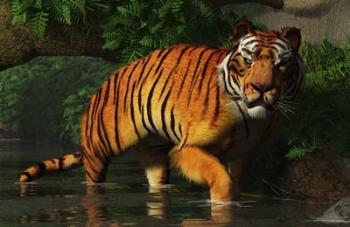 Wading Tiger | Obraz na stenu