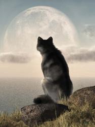 Wolf Watching The Moonrise | Obraz na stenu