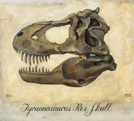 Tyrannosaurus Rex Skull | Obraz na stenu