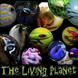 Living Planet | Obraz na stenu