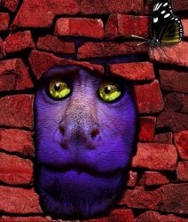 Stone Monkey | Obraz na stenu