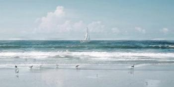 Shore Birds and a Sailboat | Obraz na stenu