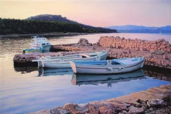 Dalmatian Island Evening | Obraz na stenu