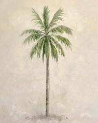 Palm Tree 1 | Obraz na stenu