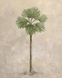 Palm Tree 3 | Obraz na stenu