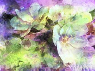 Pink and Green Floral Abstract | Obraz na stenu