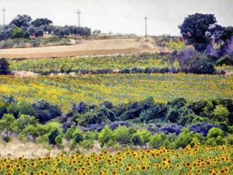 Sunflower Landscape | Obraz na stenu