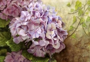 Hydrangea With Ivy | Obraz na stenu