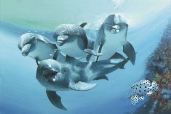 Dolphins | Obraz na stenu