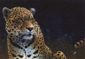 Jaguar | Obraz na stenu