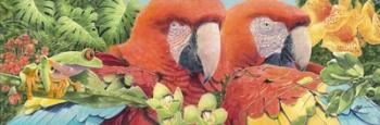 Scarlet Macaws | Obraz na stenu