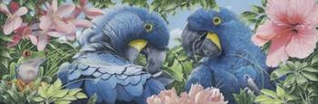 Blue Macaws | Obraz na stenu