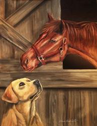 Labrador Retriever And Horse Barn | Obraz na stenu