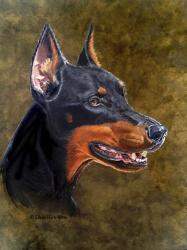 Shatzi The Doberman | Obraz na stenu