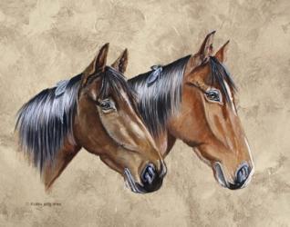 Sanders Horses Feathers | Obraz na stenu