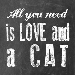 All You Need Cat | Obraz na stenu