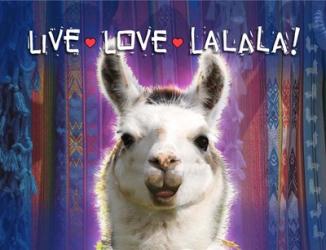 Live Love Lalala | Obraz na stenu