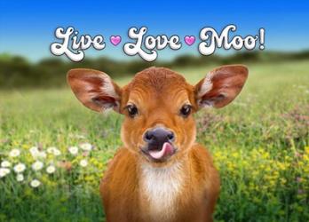 Live Love Moo | Obraz na stenu