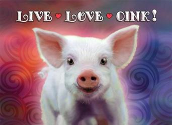 Live Love Oink | Obraz na stenu