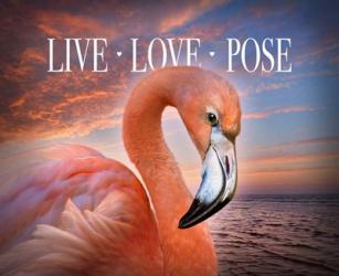 Live Love Pose | Obraz na stenu