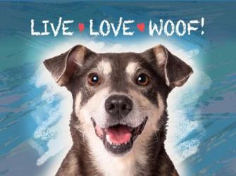 Live Love Woof | Obraz na stenu