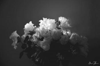 White Flowers | Obraz na stenu