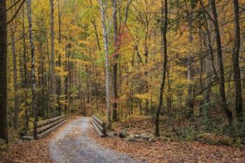 Greenbrier Bridge Path | Obraz na stenu