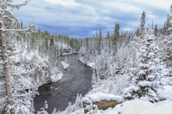 Yellowstone Winter In Fall | Obraz na stenu