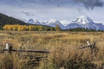 GTNP Scene Mt. Moran | Obraz na stenu