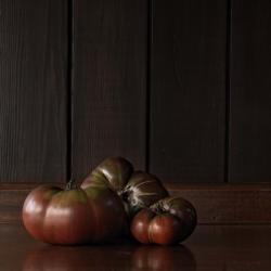 Tomatoes Still Life | Obraz na stenu