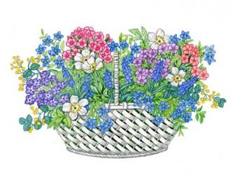 Phlox Basket | Obraz na stenu