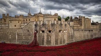 Tower London | Obraz na stenu