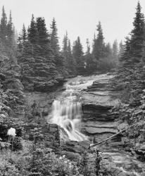 Waterfall Over Rock With Wildflowers | Obraz na stenu