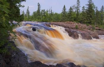 North Shore Rushing Water And Green Trees | Obraz na stenu