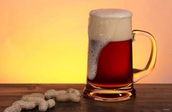 Beer Foam Running And Peanuts | Obraz na stenu