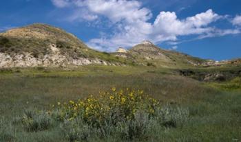 Wildflowers And Mountiains With Clouds | Obraz na stenu