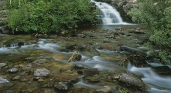 Glacier National Park Rushing Water 9 | Obraz na stenu